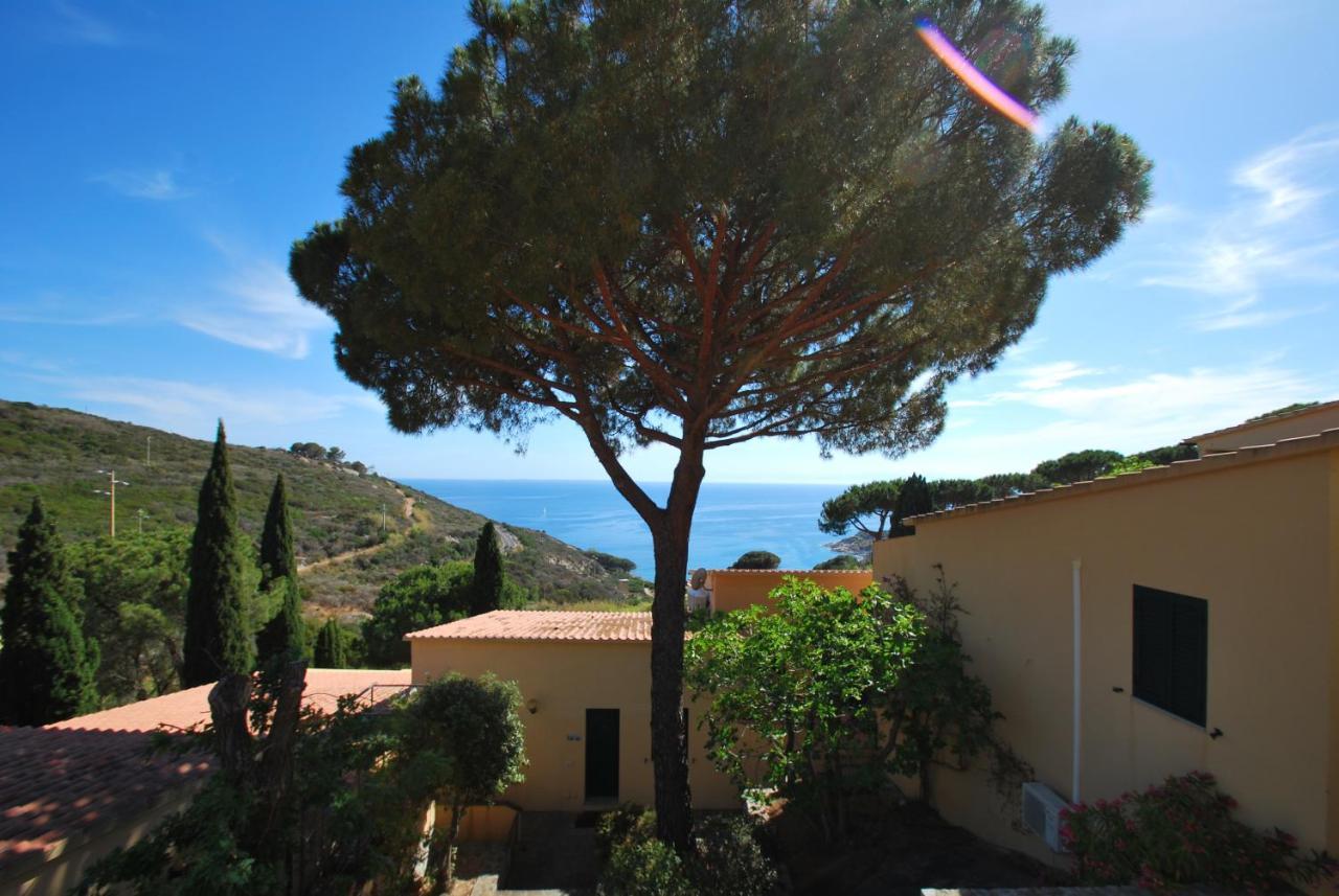 Grotta Azzurra Apartment - Cavoli - Terrazza Vista Mare, Clima E Parcheggio San Piero in Campo  外观 照片